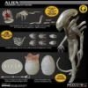 Mezco Toyz ONE:12 Collective: Alien Xenomorph Concept Edition Action Figure Exclusive